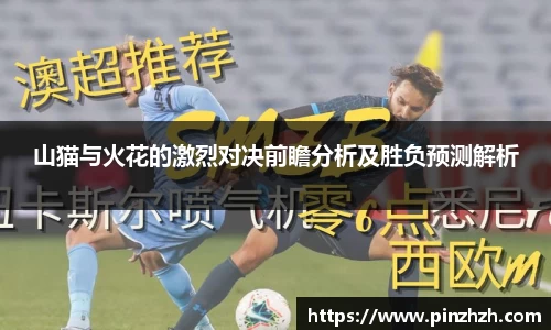 山猫与火花的激烈对决前瞻分析及胜负预测解析