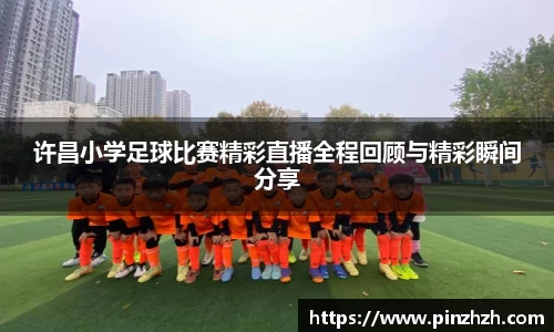 XK星空体育官网