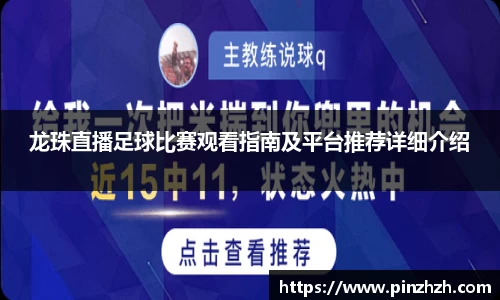 XK星空体育官网