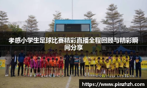 孝感小学生足球比赛精彩直播全程回顾与精彩瞬间分享