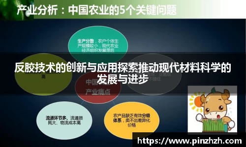XK星空体育官网