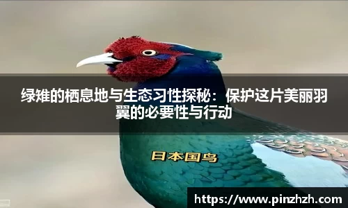 绿雉的栖息地与生态习性探秘：保护这片美丽羽翼的必要性与行动