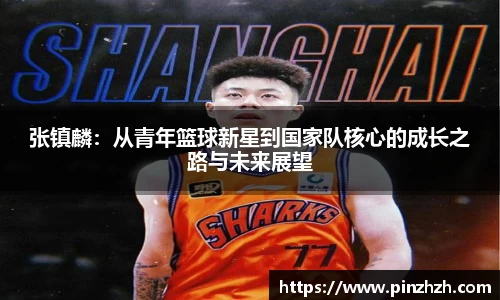 XK星空体育官网