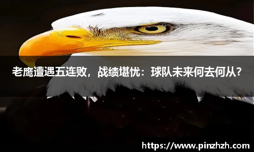 XK星空体育平台